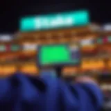 An overview of the Stake platform showcasing its user interface and betting options