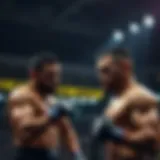 UFC 배당의 이해와 활용 Introduction
