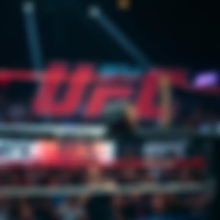 UFC 배당의 이해와 활용 Summary